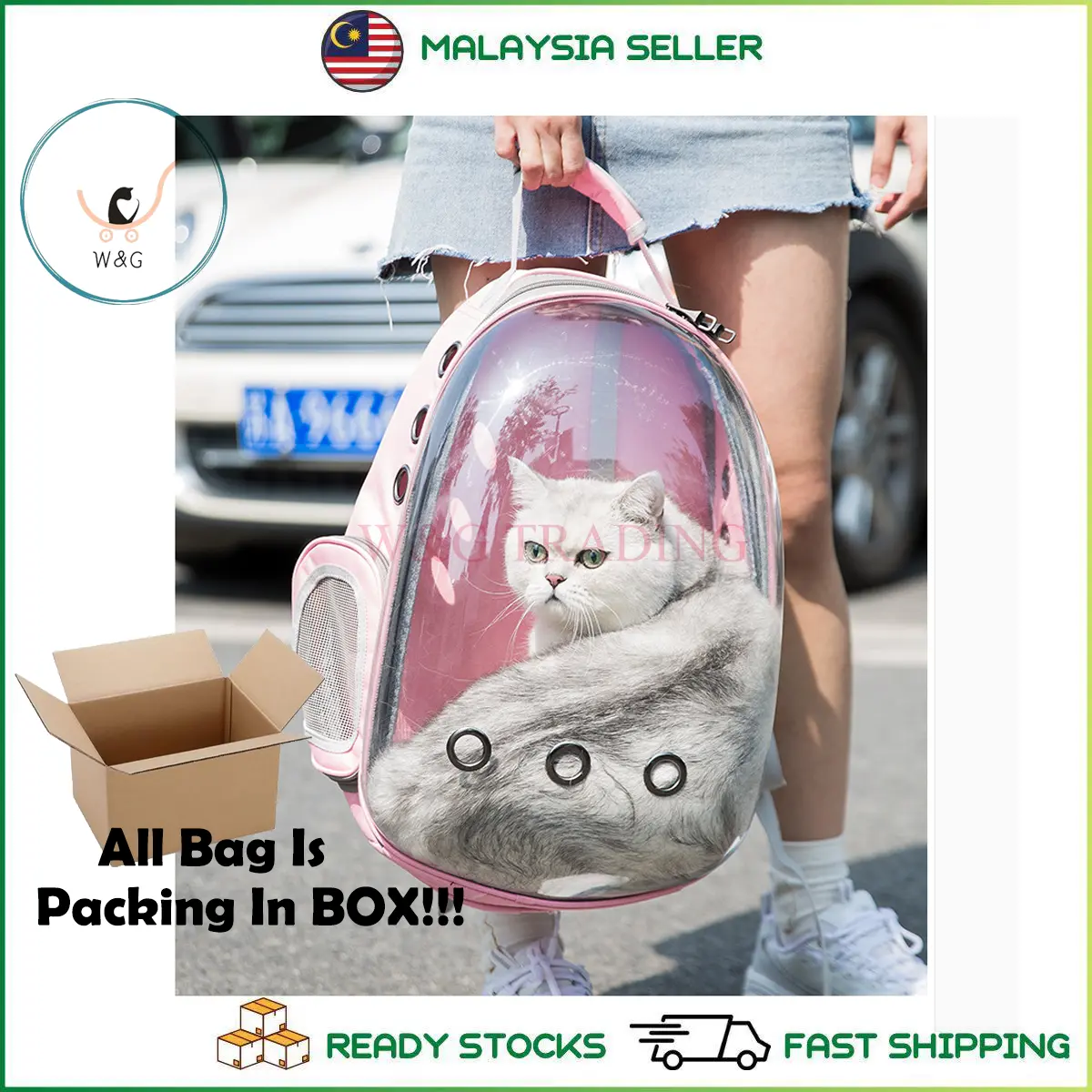 Transparent Astronaut Pet Cat Carrier Bag Japanese Transparent Pet Bag backpack Capsule