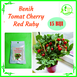 BENIH TOMAT CHERRY RED RUBY ISI 15 BIJI