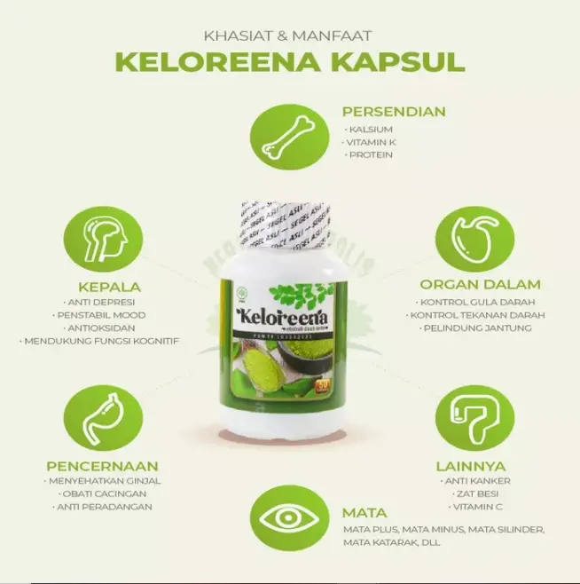 Keloreena Kapsul Solsui Atasi Sakit Lutut Dan Kaku 7
