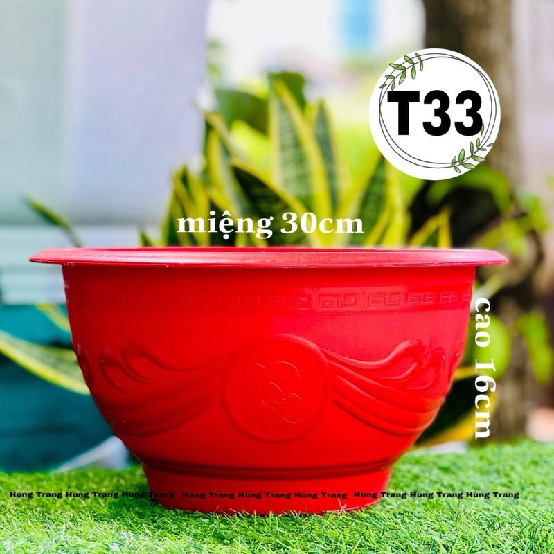   Combo 10 Cái   Chậu Nhựa Trồng Cây Cảnh T33 Dày Dặn  Miệng 30cm x Cao 16cm  chau trong 