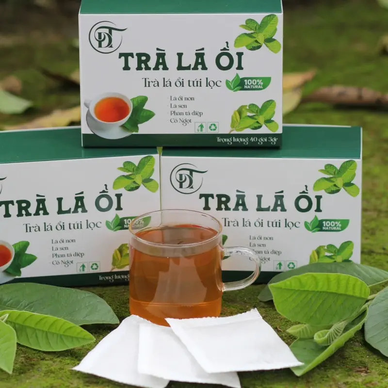 TRÀ LÁ ỔI túi lọc THANH NHIỆT NHUẬN TRÀNG 4