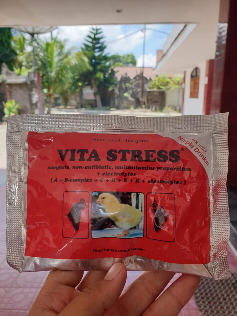 Product Introduction of [VITAMIN ANTI STRESS AYAM] VITASTRESS 100 GRAM MEDION 1