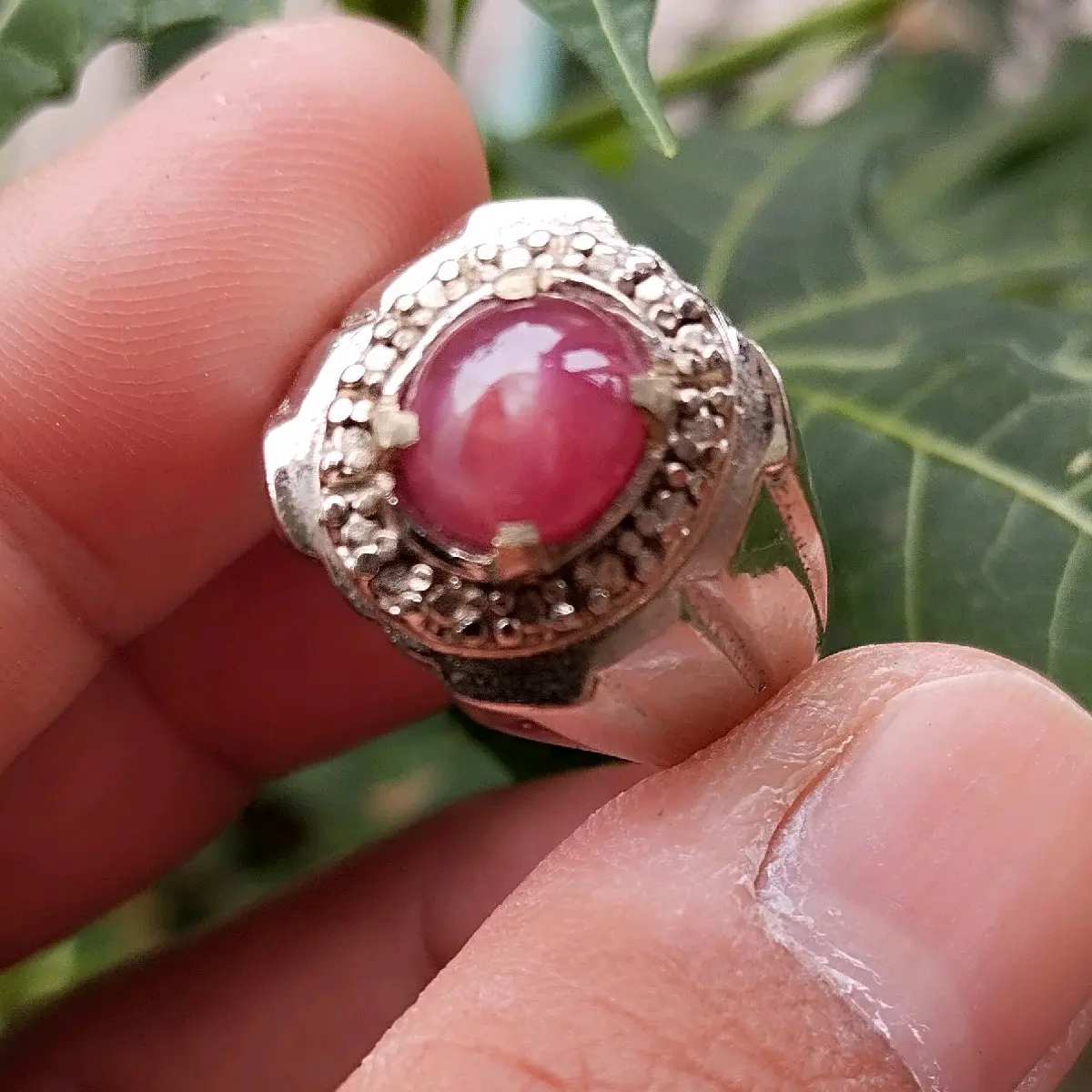 BN cincin Sukses Harian