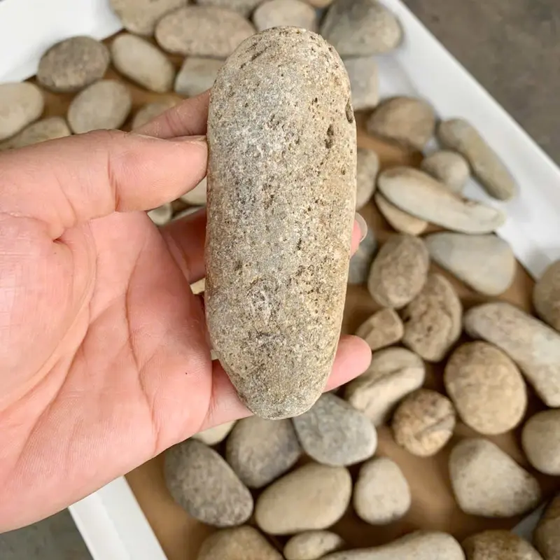 Đá cụi rãi sân, tạo tiểu cảnh hồ cá koi sân vườn quán cafe đẹp