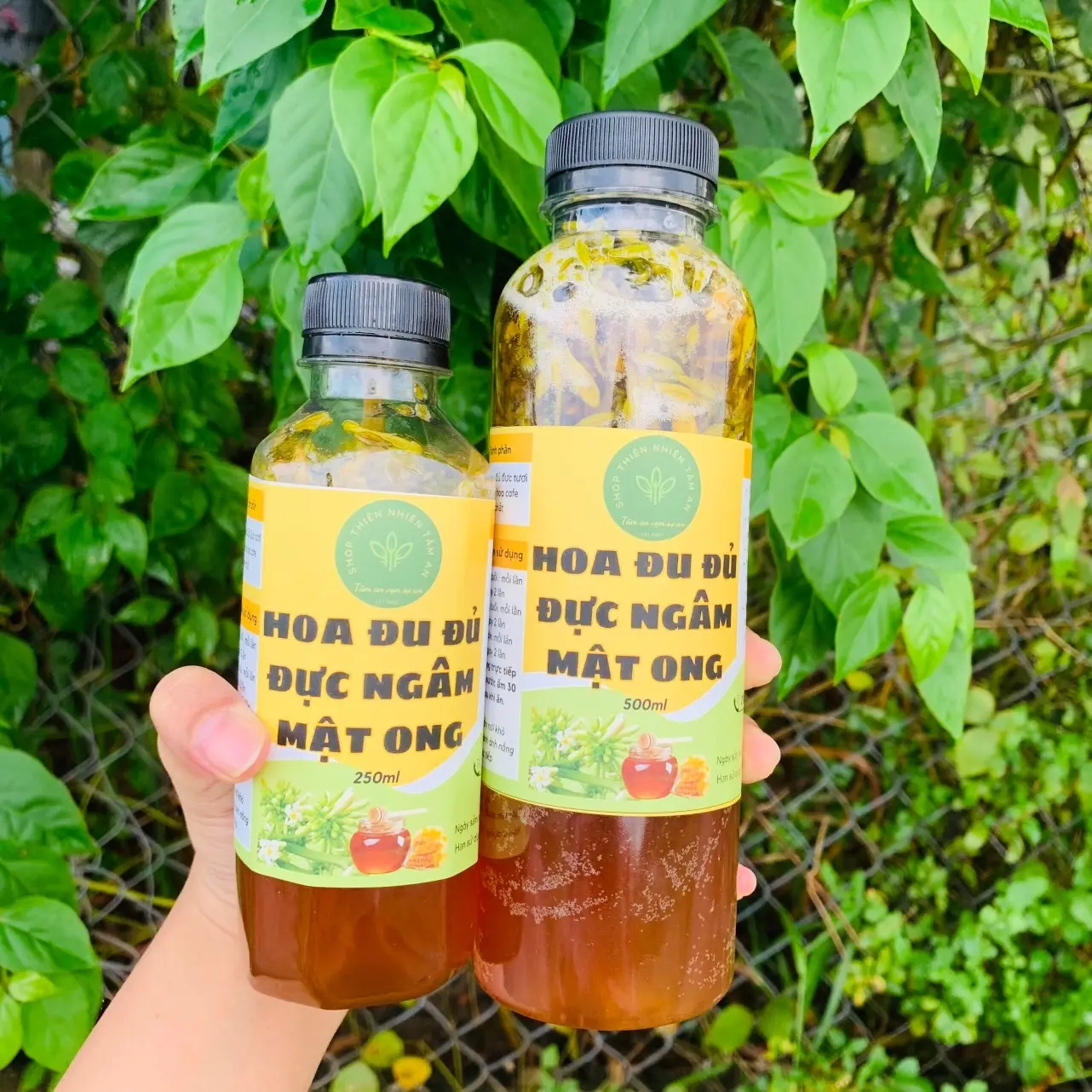 250ml - 500ml Hoa đu đủ đực ngâm mật ong