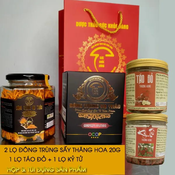 Combo 2 Hộp Đông Trùng Sấy Thăng Hoa và Táo Đỏ 200g Kỷ Tủ Mộc 100g Kèm Hộp và Túi Giấy - Tea, Nước Trà