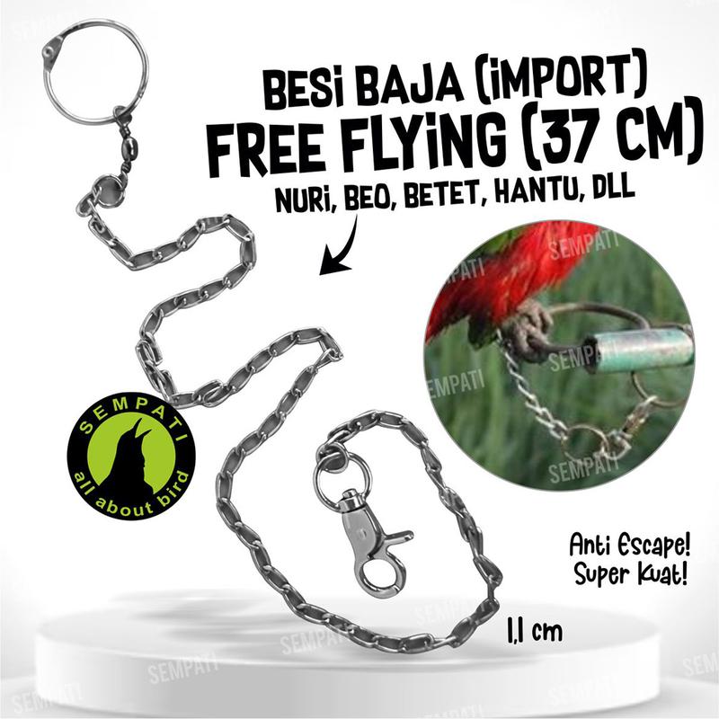 Sempati Rantai Ujung Besi Untuk Kaki Burung Nuri Beo Betet Hantu - Shop ...