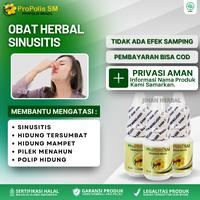 Gambar ProPolis SM Obat Sinusitis Hidung Bau Busuk Tersumbat dan Mampet Perawatan Pernafasan  Isi 6ml dari Jihan Herbal Store Kota Administrasi Jakarta Barat 1 Tokopedia