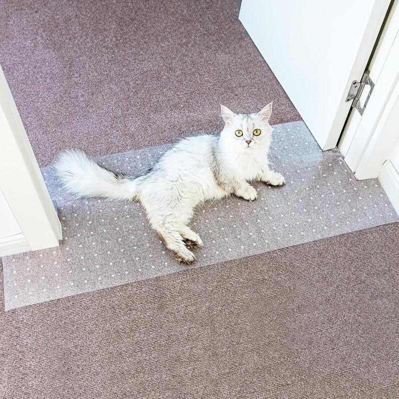 How youg to stop cat from scratching carpet under door