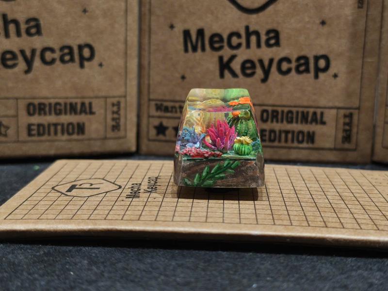 Sculpted Sa Key Cap Rows R1 Keycap Pokemon Resin Cho Loại SA R1 - TikTok Shop Vietnam