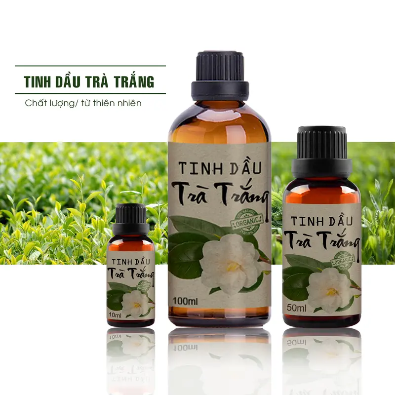 Tinh dầu trà trắng xông thơm phòng, khử mùi, giúp không gian mát mẻ trong lành 0