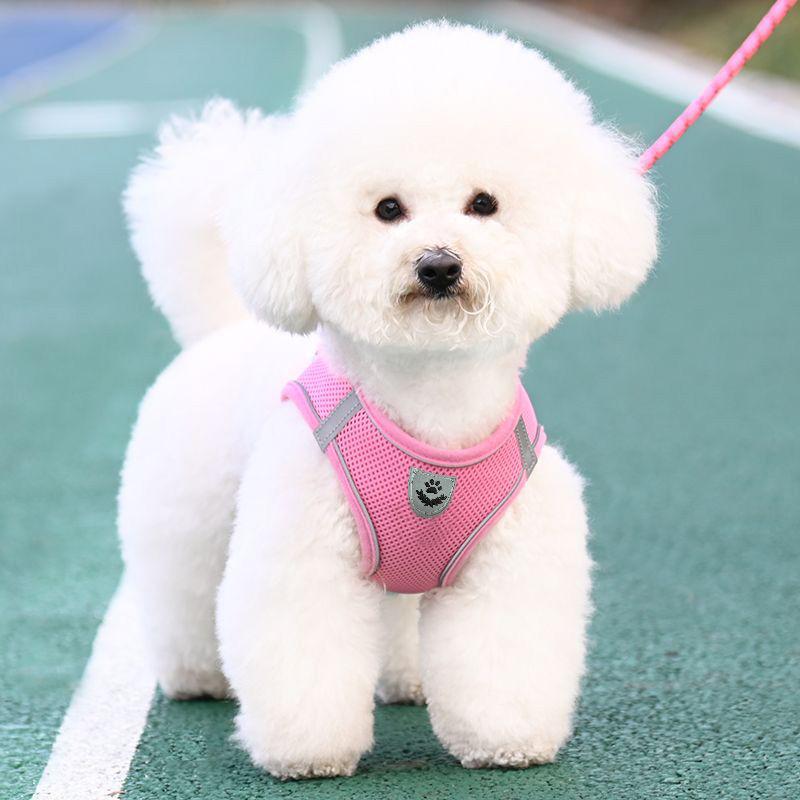 Product Introduction of Dog Leash Vest Dog Leash Small Dog Bear Teddy Special Chest Strap Dog Chain Adjustable Telescopic 6