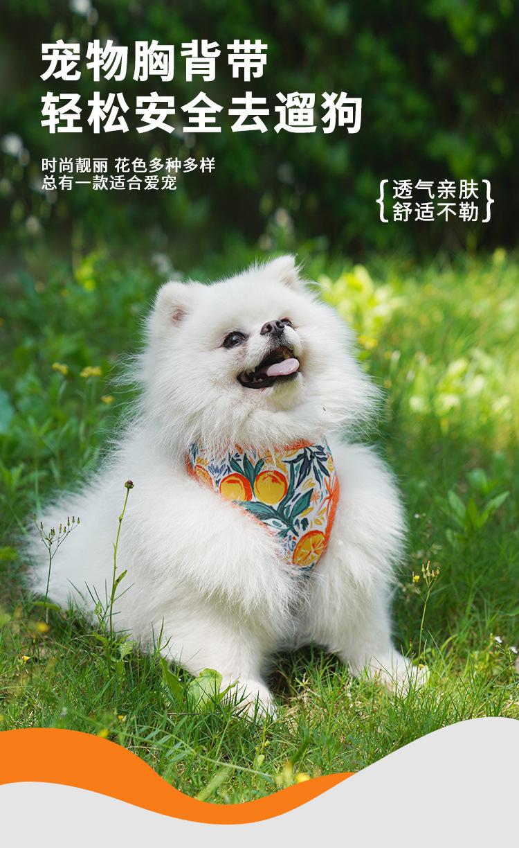 Product Introduction of Dog Harness for Outdoor Use, Breathable Vest for Small and Medium Dogs, Pet Walking Leash for Puppies, Corgis, Shiba Inus 0