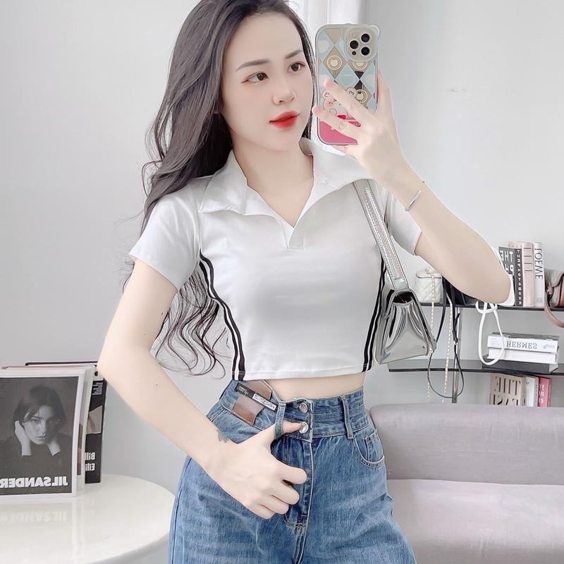 Áo croptop nữ cổ Sen tay ngắn ôm body co dãn 4 chiều Phối Viền 2 màu Women Polo croptop xinh áo hở eo