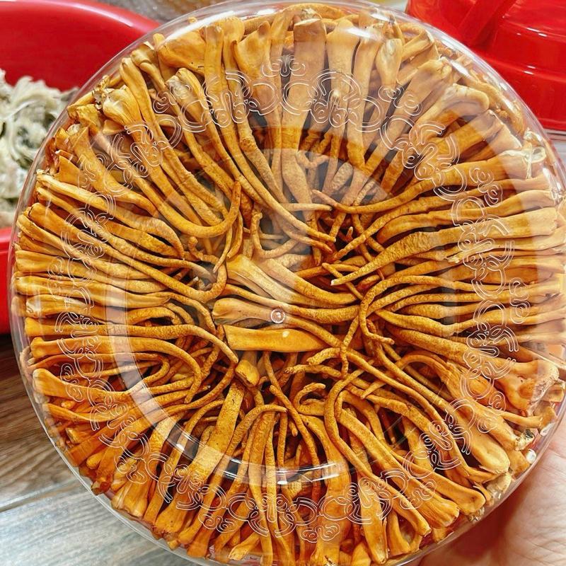 Đông trùng hạ thảo loại 1 - Yến sào Danest