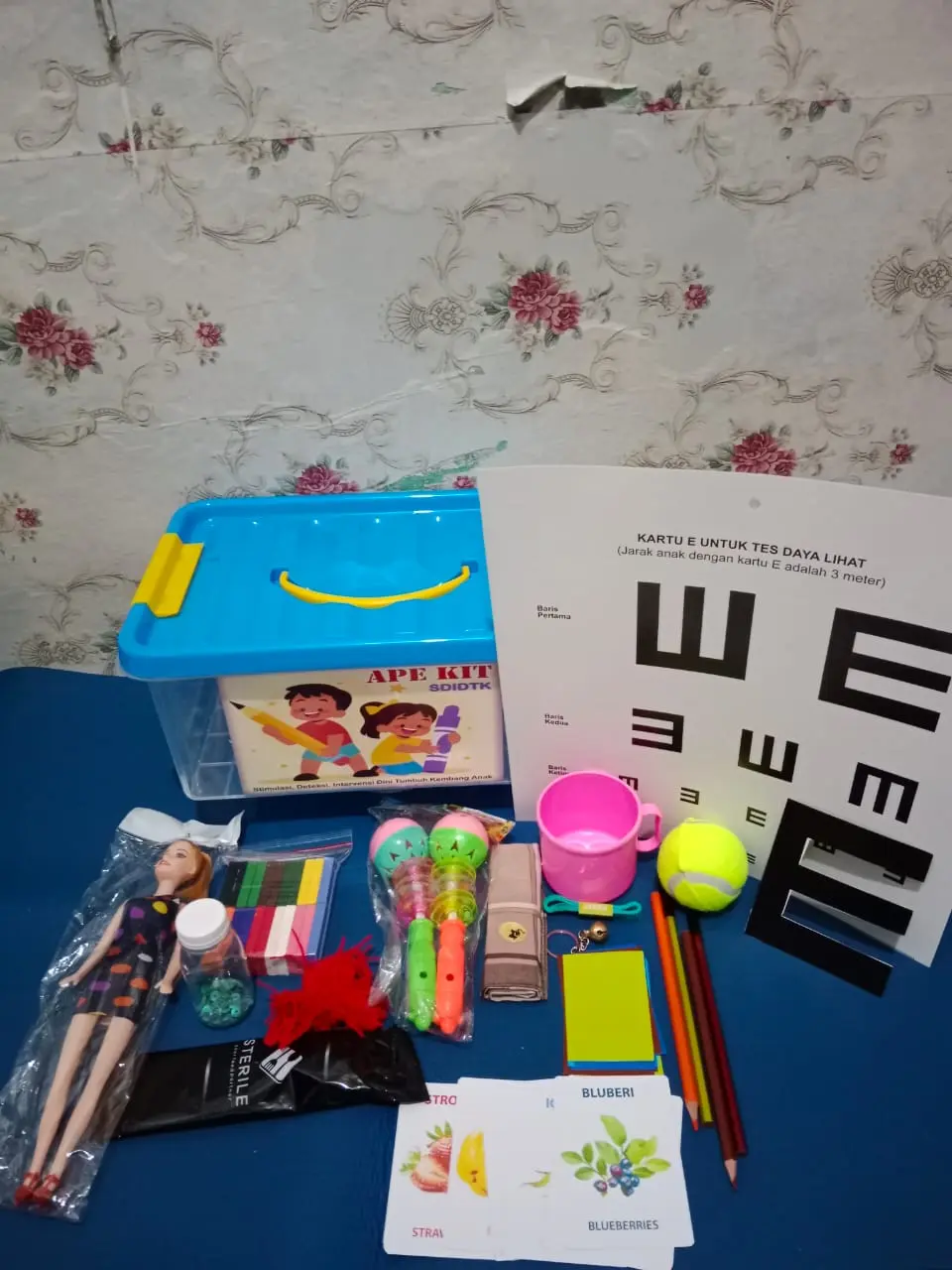 Ape Kit SDIDTK Alat Deteksi Dini Tumbuh Kembang Anak