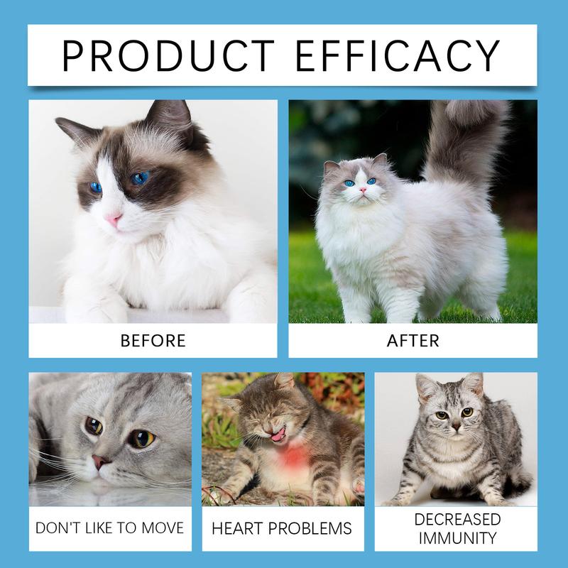 Product Introduction of [OY Pet Shop] Cat Coenzyme Tablets Guard Health and Vitality Exclusive for Cats Coenzyme Q10 Absorption Nutrition Supplement 11