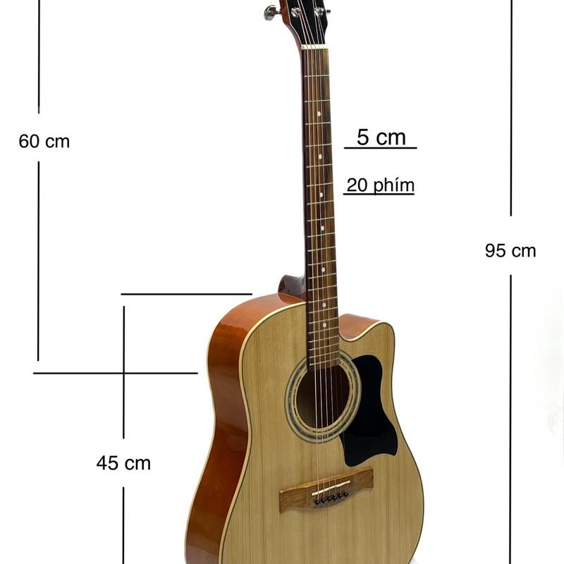 Đàn  Acoustic Gỗ Thông Sitka G01 ( SOL THĂNG )    guitar 3