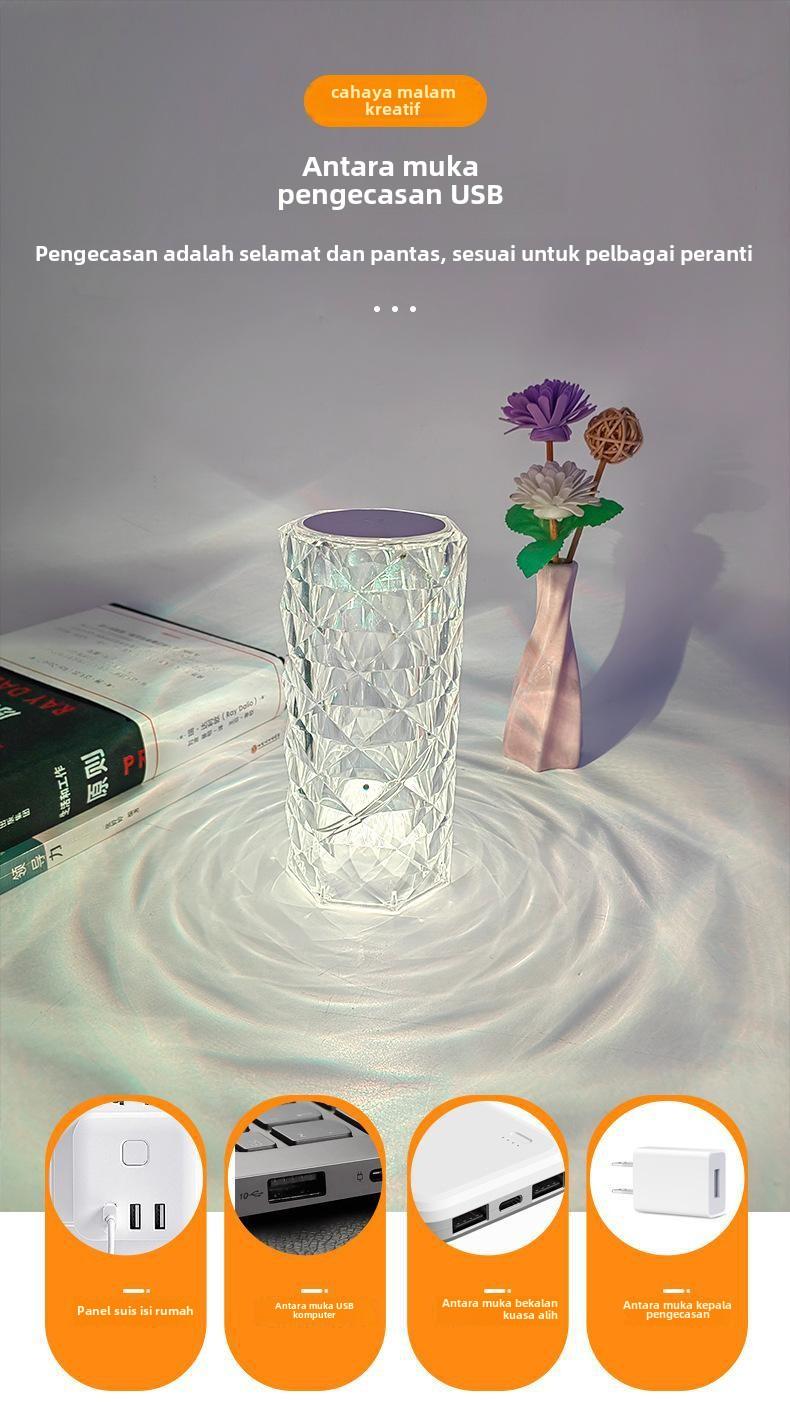 Product Introduction of Luxury Night lights with new rose atmosphere lights 1