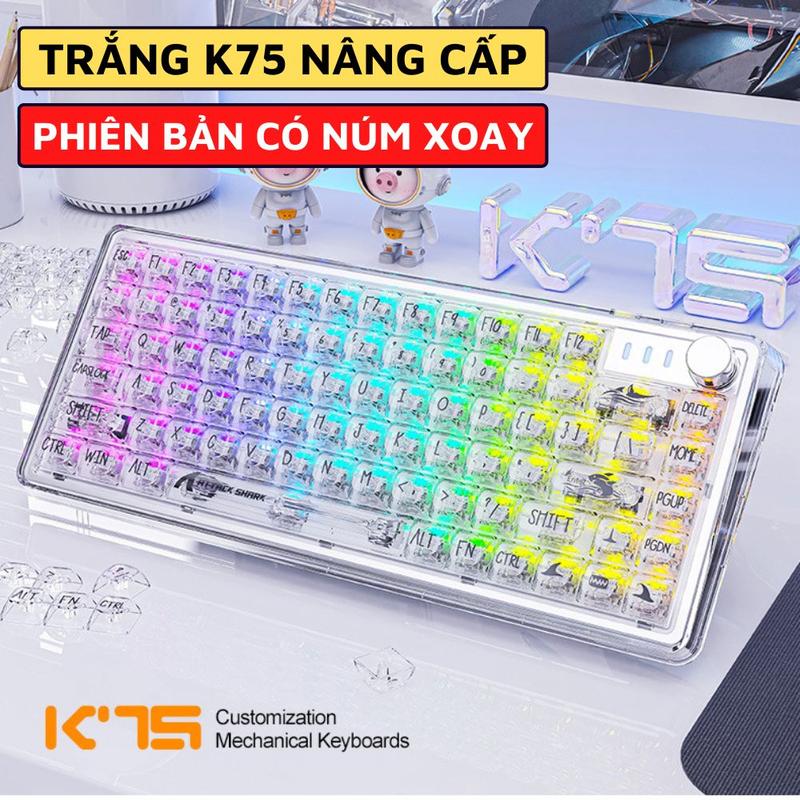 Bàn Phím Cơ Máy Tính Trong Suốt Gaming Ziyou K75 LED Pro RGB White Switch Có HOTSWAP Có Lót Foam Giảm Ồn