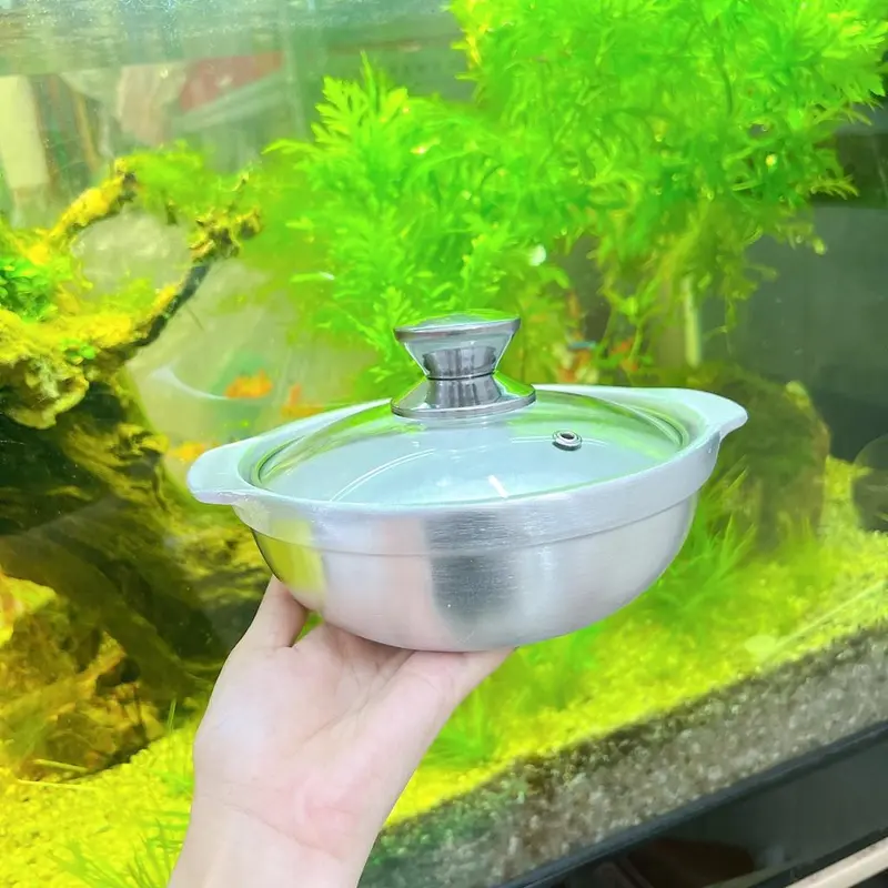 Thố gang NẮP KÍNH kho quẹt, kho cá, nấu cơm niêu, tiện lợi đẹp mắt ngon miệng - Nồi gang nắp kínhthoso 3