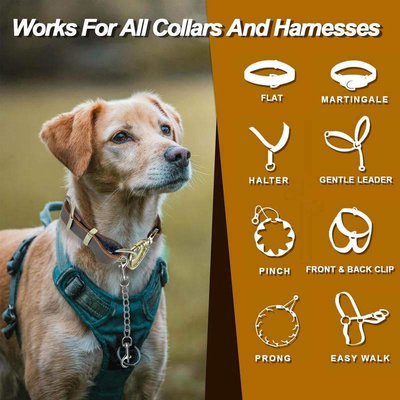 Collar to harness attachment best sale