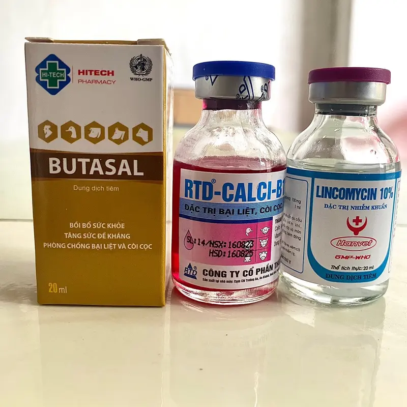 Bộ bại liệt gà đá, yếu chân ( 1 lọ butasal, 1 lọ canxi b12 và 1 lọ lincomycin 10%) 1