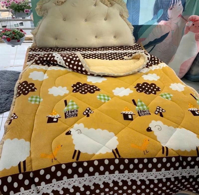 Product Introduction of Chăn lông cừu đại Hàn loại 1 dày nặng 2.5kg siêu ấm - cam kết giá rẻ hàng chuẩn 26