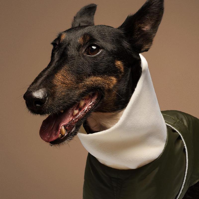 Winter Pet Clothes, Thickened Warm Dog Coat, Reflective Thermal Lined Dog Jacket, Pet Clothes for Large Dogs, Dog & Cat Clothing Supplies 8