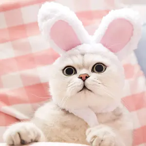 KOSTUM BUNNY HAT - Kostum Topi Hewan Kucing Anjing Lucu Unik Desain Kelinci