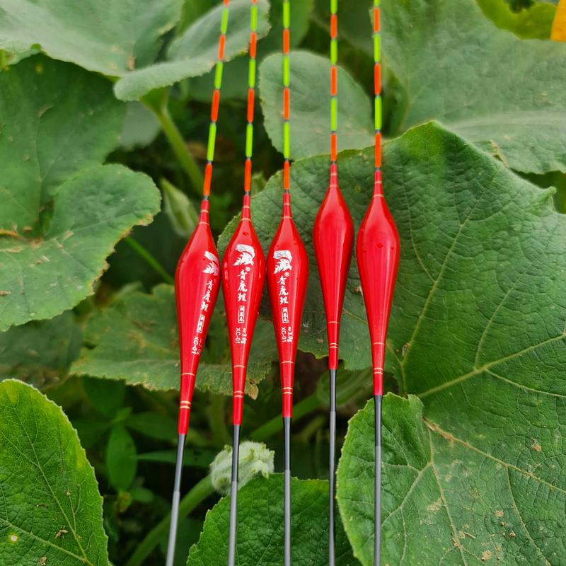 Phao câu rơi câu lửng câu đài trắm đen trắm cỏ XC01 Đi Câu Bắt Cá