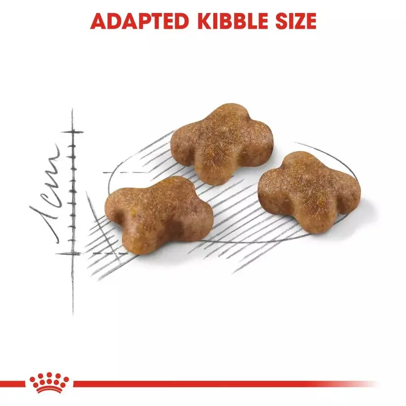 Royal Canin KITTEN 2KG Cat Food Rc Makanan Anak Kucing 2bulan Dry 2 Kg Catfood Royalcanin Kiten Anakan Baby Persian Kecil 36 Murah 7