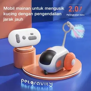 Mainan Interaktif Cerdas Kucing & Anjing: Remote Control, Isi Ulang USB, Bulu Warna-warni, Berat 0,5 kg, UK 15x10x5 cm, Ringan & Portabel, Fitur Getar & Lampu LED