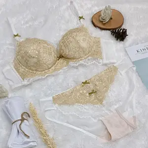 DB - Bra set burkat busa sedang busa bisa lepas pasang art 619#