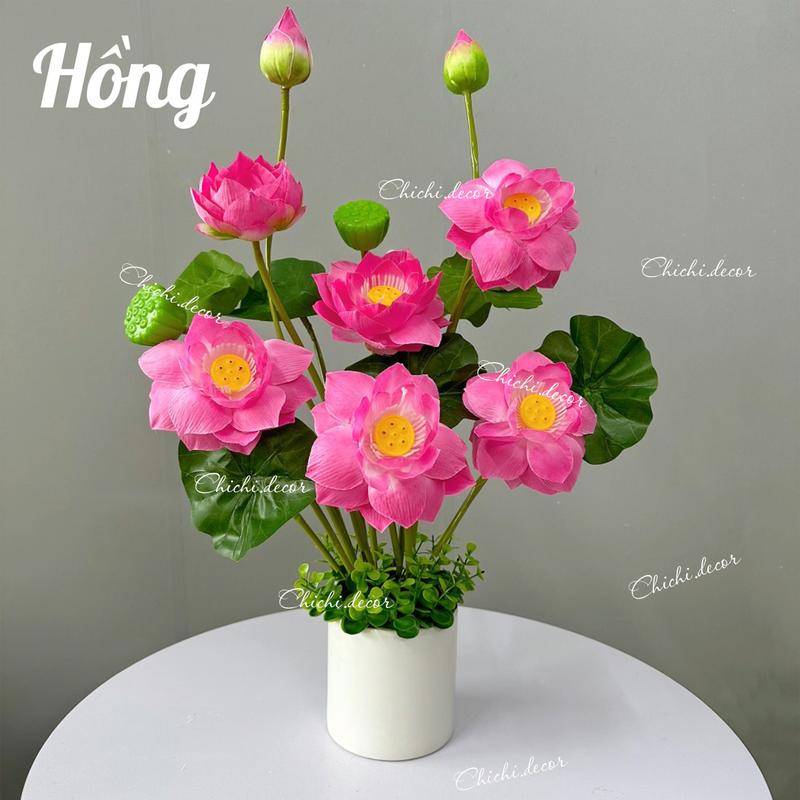    LOẠI 1  CHẬU SEN quan âm 16 chi tiết chậu gốm sứ cao cấp  60cm  decor trang trí nhà cửa 