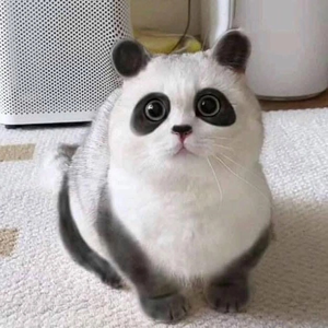 Nông nghiệp nhà Gấu