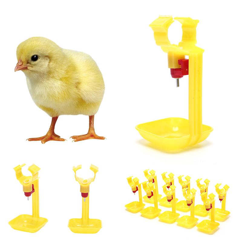 Product Introduction of 10pcs poultry chicken hanging duck drinking water nipple drinker feeder with cup 18