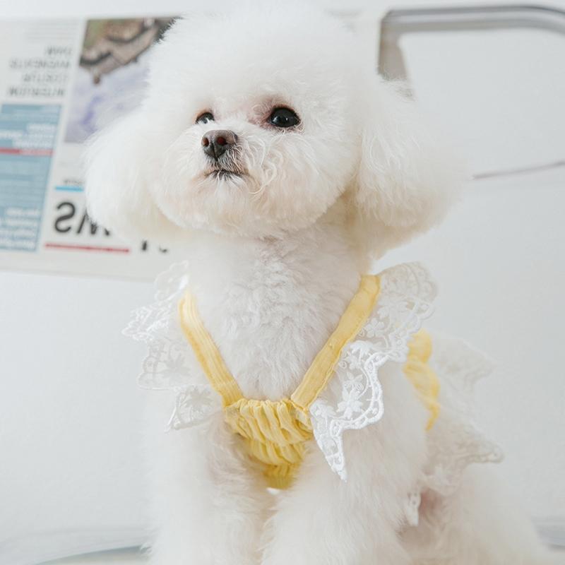 Product Introduction of Quần áo cho chó, trang phục mùa hè, thích hợp cho chó Con và mèo con, với ren, quần áo cho thú cưng, thích hợp cho Chihuahua và Bichon 26