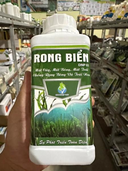Phân bón Rong biển đậm đặc (chai 500ml) mát bông, mát trái, chống rụng bông trái, tăng cường đậu trái, siêu kích đọt bật chồi cực mạnh, lá to xanh dày bóng mướt, ra rễ cực nhanh, cải tạo đất tơi xốp, phục hồi cây sau thu hoạch, cây suy yếu. 1