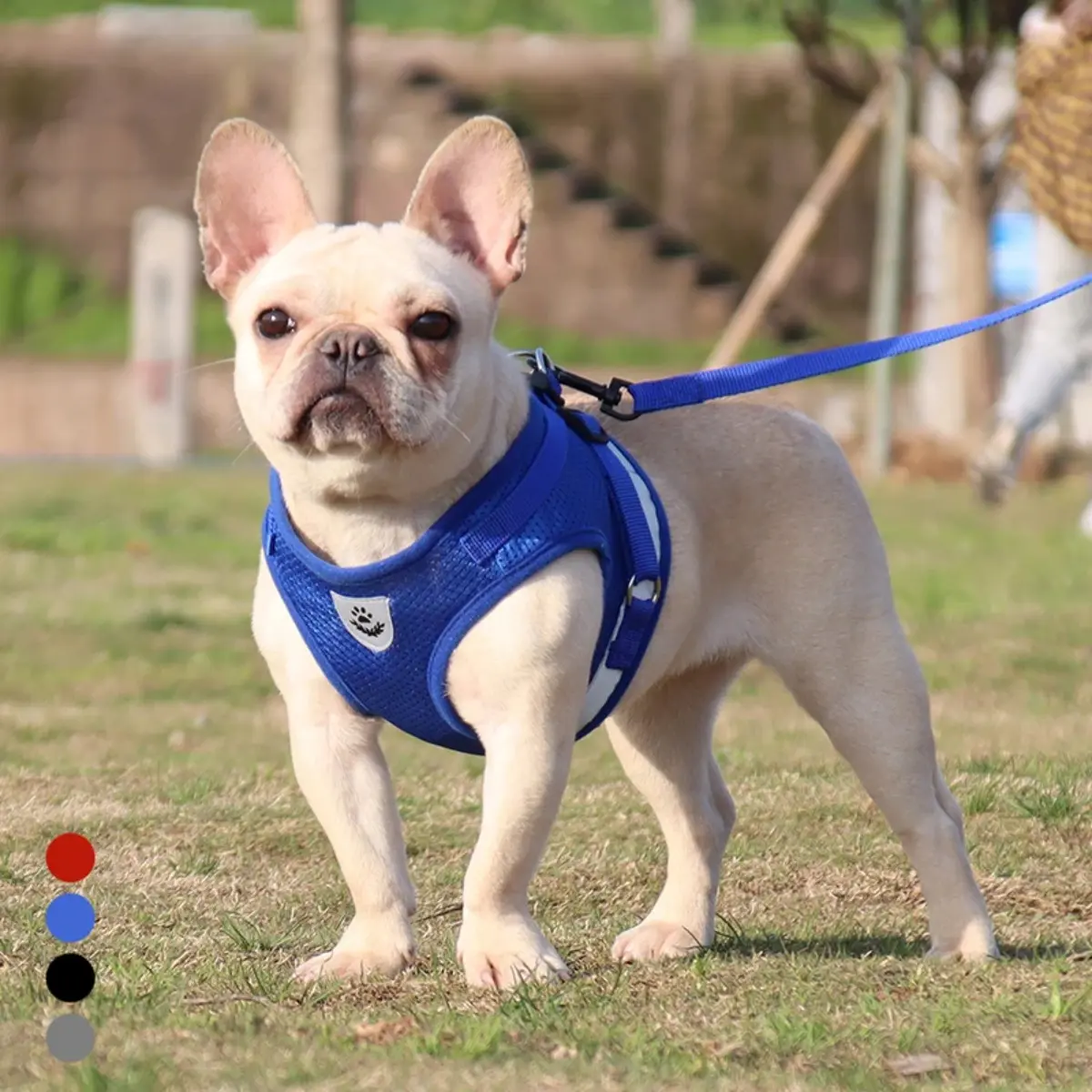 Pet Dog Harness with Leash Set Reflective Safety Harnesses Vest Puppy Cat Chest Strap for Small Medium Pug Chihuahua Bulldog
