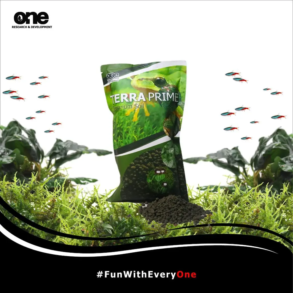 TERRA PRIME - Media Tanam Bioactive Soil Substrate Terrarium Paludarium Aquascape One Riset