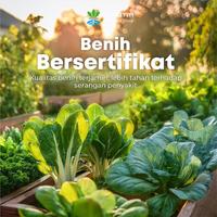 Gambar INFARM - Benih Sayur Sawi Super Bibit Greencai Unggul Biji Hitam Unggul Berkualitas Produk Kualitas F1 Mudah Tumbuh Tahan Hama Cepat Berkecambah dari Infarm Kota Surabaya 5 Tokopedia