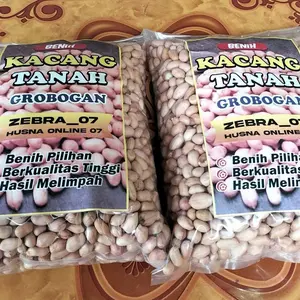 1 KG BENIH KACANG TANAH VARIETAS GAJAH SUPER tanaman melon sayuran bau plastik uv benih padi benih kacang panjang saffron Cabai bibit durian mangga anggur alpukat rumput barley Labu Jepang bawang mutiara Hias kemangi