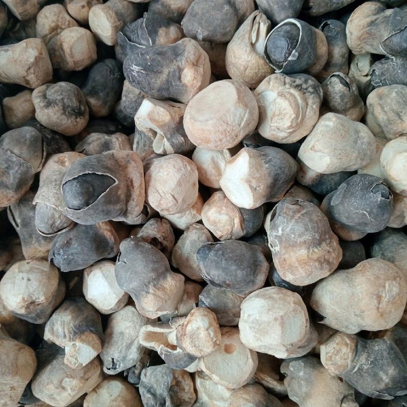 100g Nấm Rơm Mecco Sấy Thăng Hoa 5
