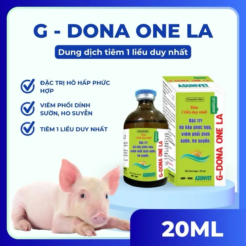 Asunvet Dona One 20ml xử lý hô hấp trên heo 1 mũi duy nhất