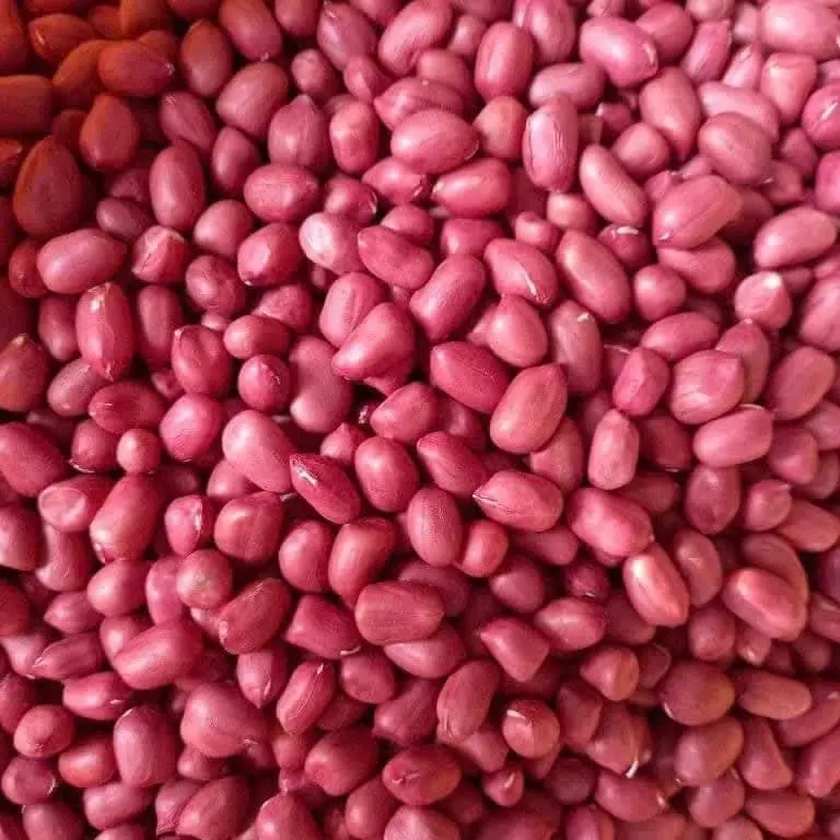lạc đỏ cả vỏ Compo 2kg khô vụ mới Thức Ăn 5