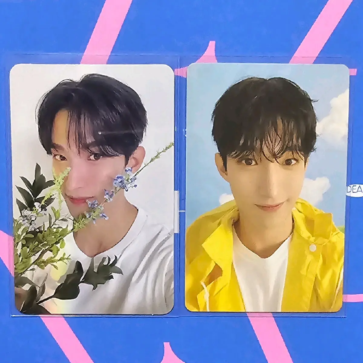 Jeonghan Joshua Mingyu 17 Is Right Here Official Photocards