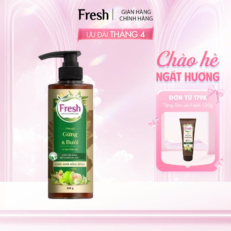 Dầu Gội Fresh Thảo Mộc Dưỡng Sinh - Chắc Khoẻ Bồng Bềnh 480 Gam