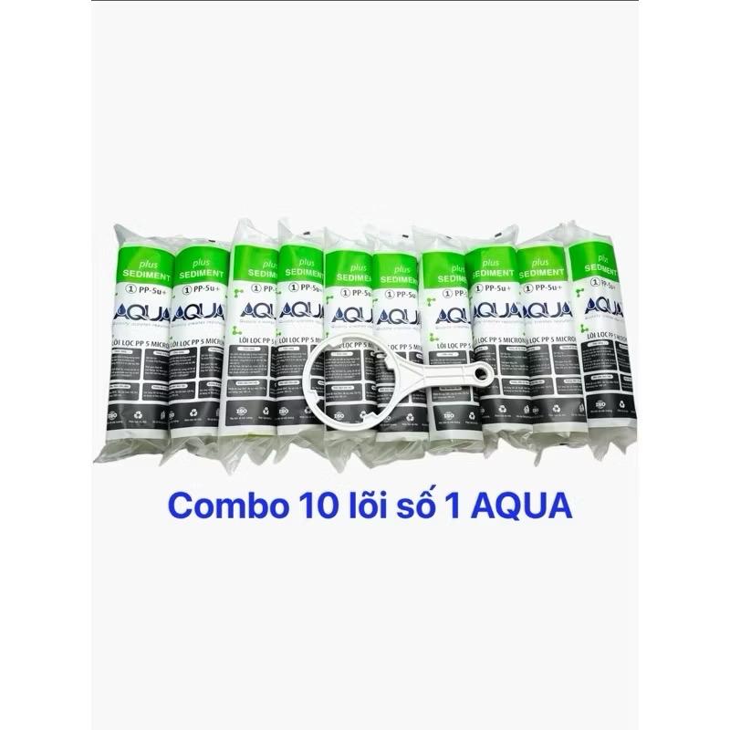 COMBO 10 LÕI LỌC NƯỚC Số 1 AQUA lắp cho máy lọc có cốc lọc thô 10inch