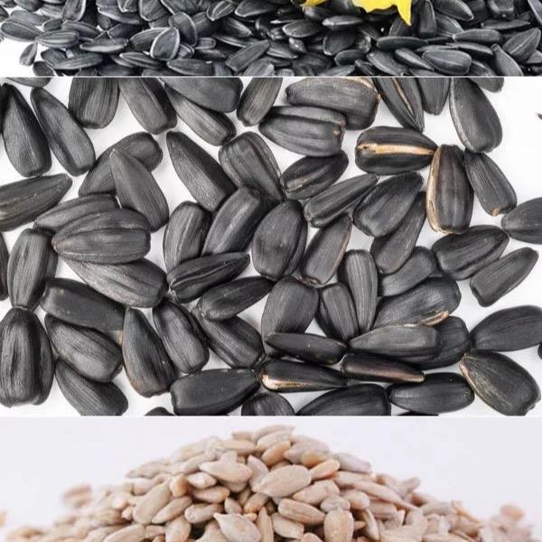 Hướng Dương Nga Loại Con Vịt Chính Hãng Của Nga Snack Ăn Vặt Food 3